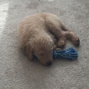 Meet your Posher, Andrew